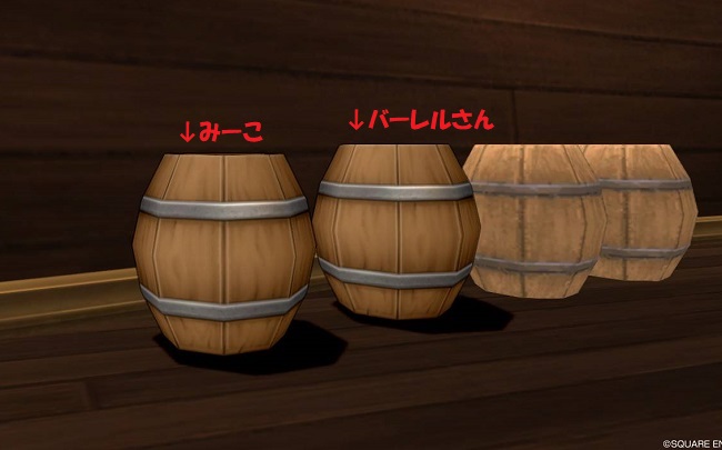 隠れしぐさゲットで変わり身の術習得なの 白チャットするだけでok 夫婦で行く ドラクエ10ゆったり冒険記