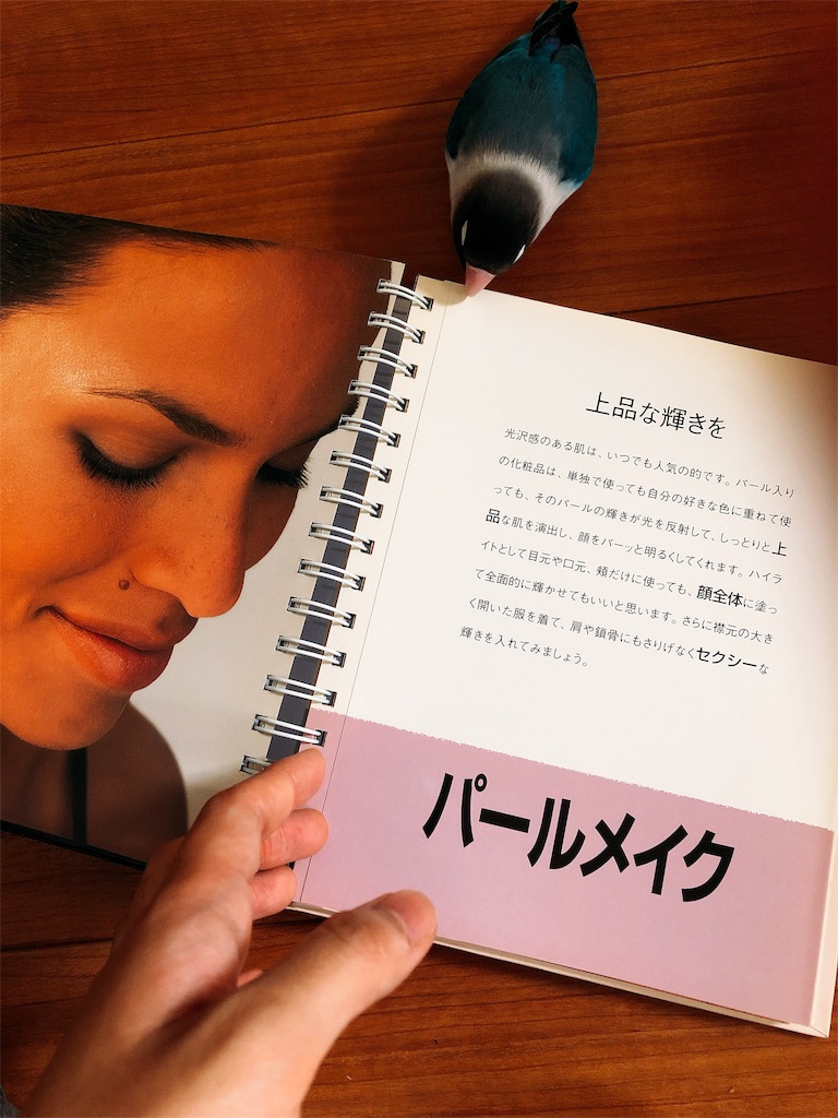f:id:valancy06taylor:20190614113341j:image f:id:valancy06taylor:20190614113341j:image