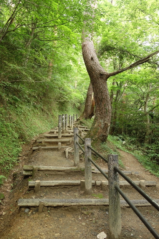 イメージ 2