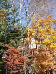 f:id:valleeblanche:20191104232932j:plain