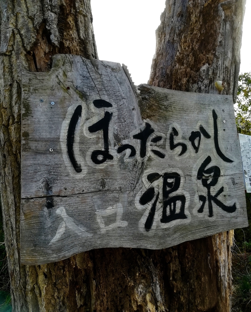 f:id:vana-gon:20181105142323j:plain f:id:vana-gon:20181105142323j:plain