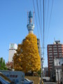 20101127123624