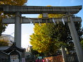 20101127144917