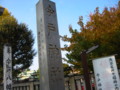 20101127144932