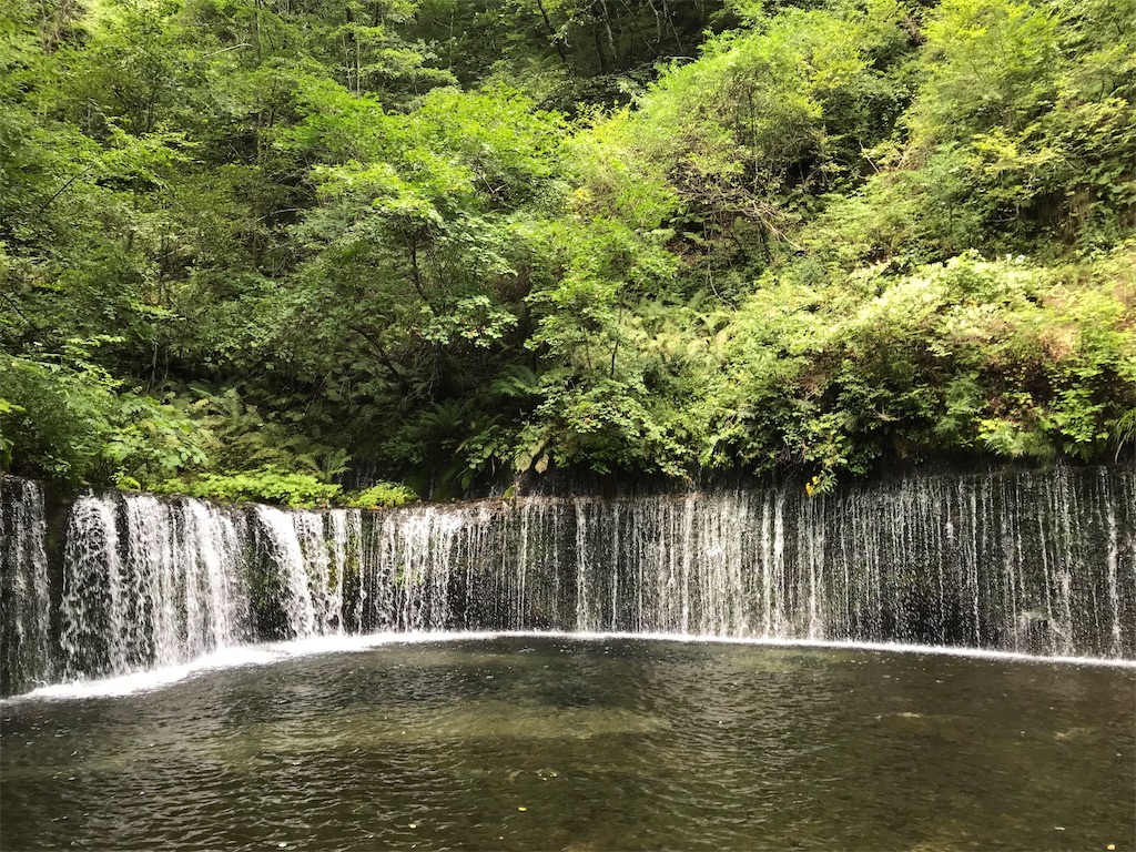 f:id:vanillashiba:20190831104256j:image f:id:vanillashiba:20190831104256j:image