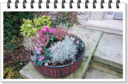 f:id:vanillesesam:20171231041340j:plain f:id:vanillesesam:20171231041340j:plain