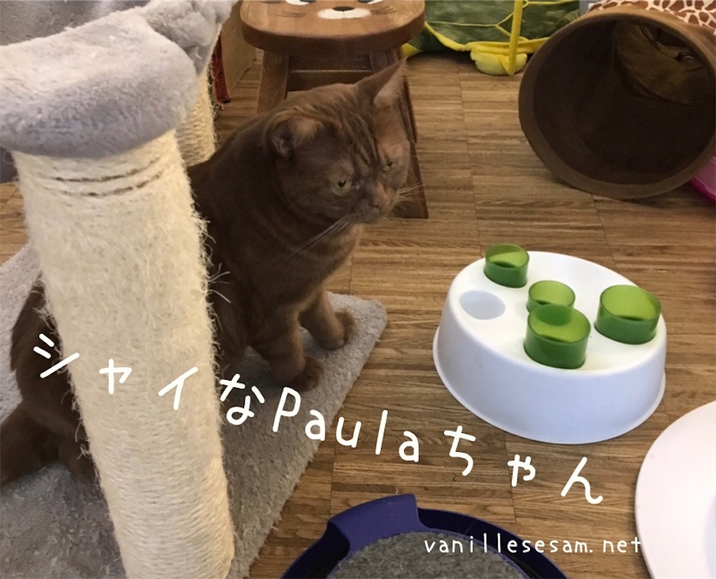 f:id:vanillesesam:20191011230828j:image