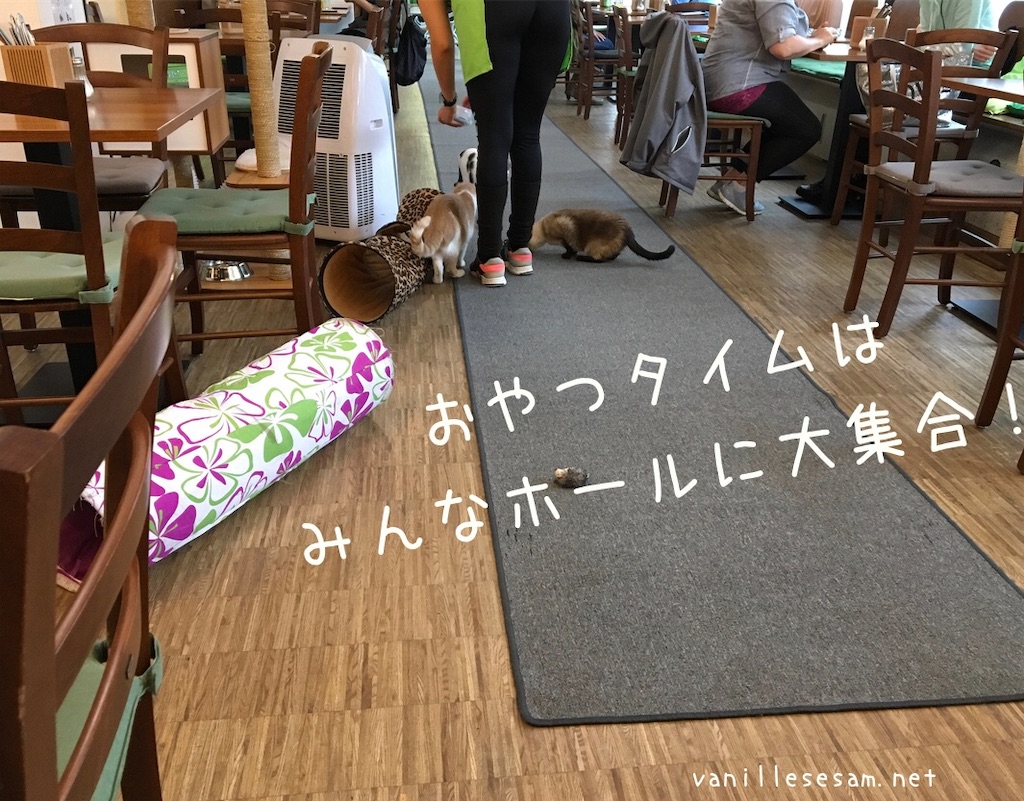 f:id:vanillesesam:20191011231412j:image