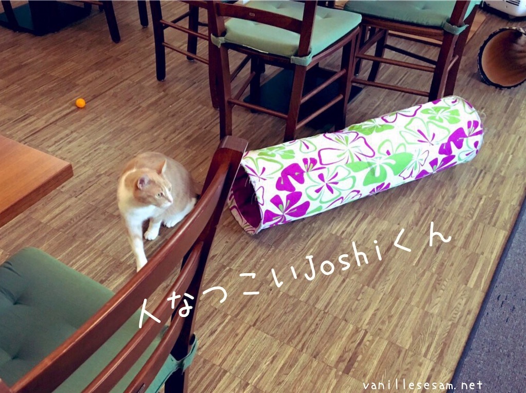 f:id:vanillesesam:20191012200712j:image