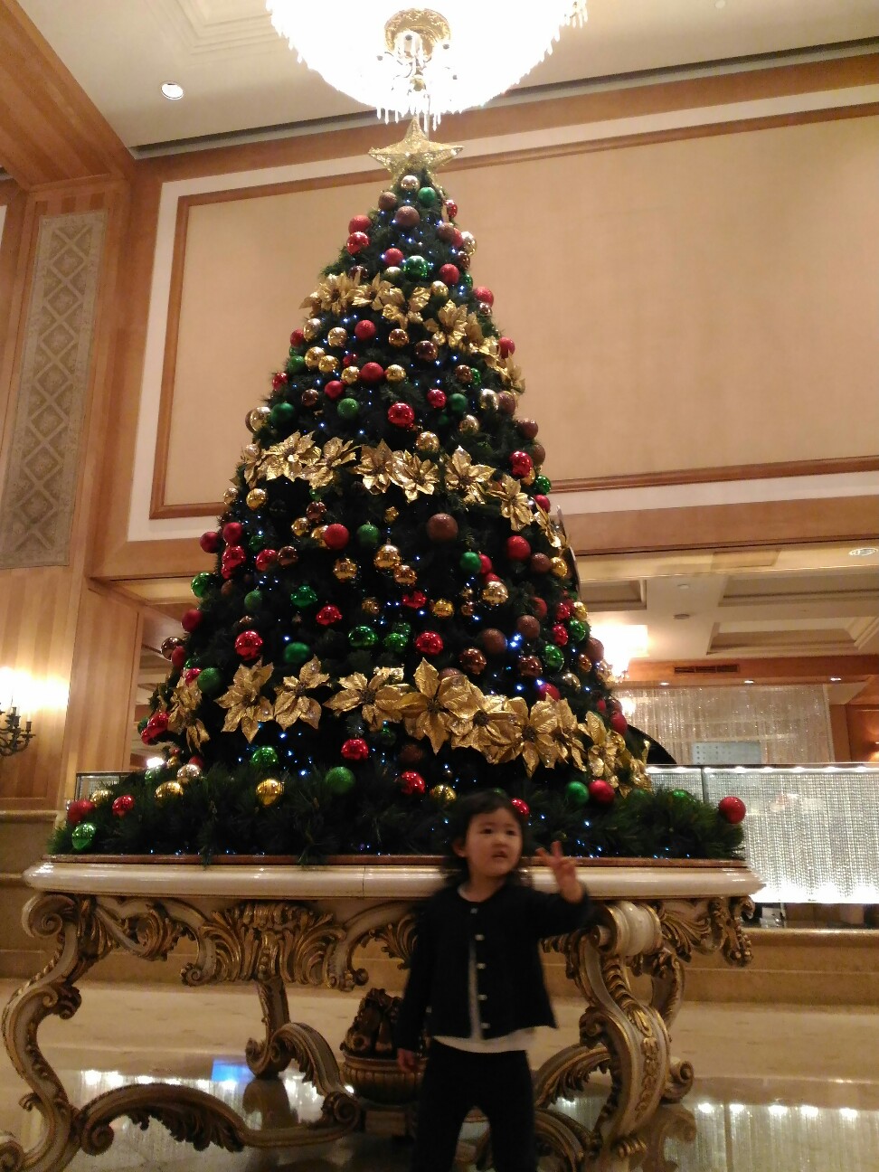f:id:vannie:20161224220448j:image f:id:vannie:20161224220448j:image