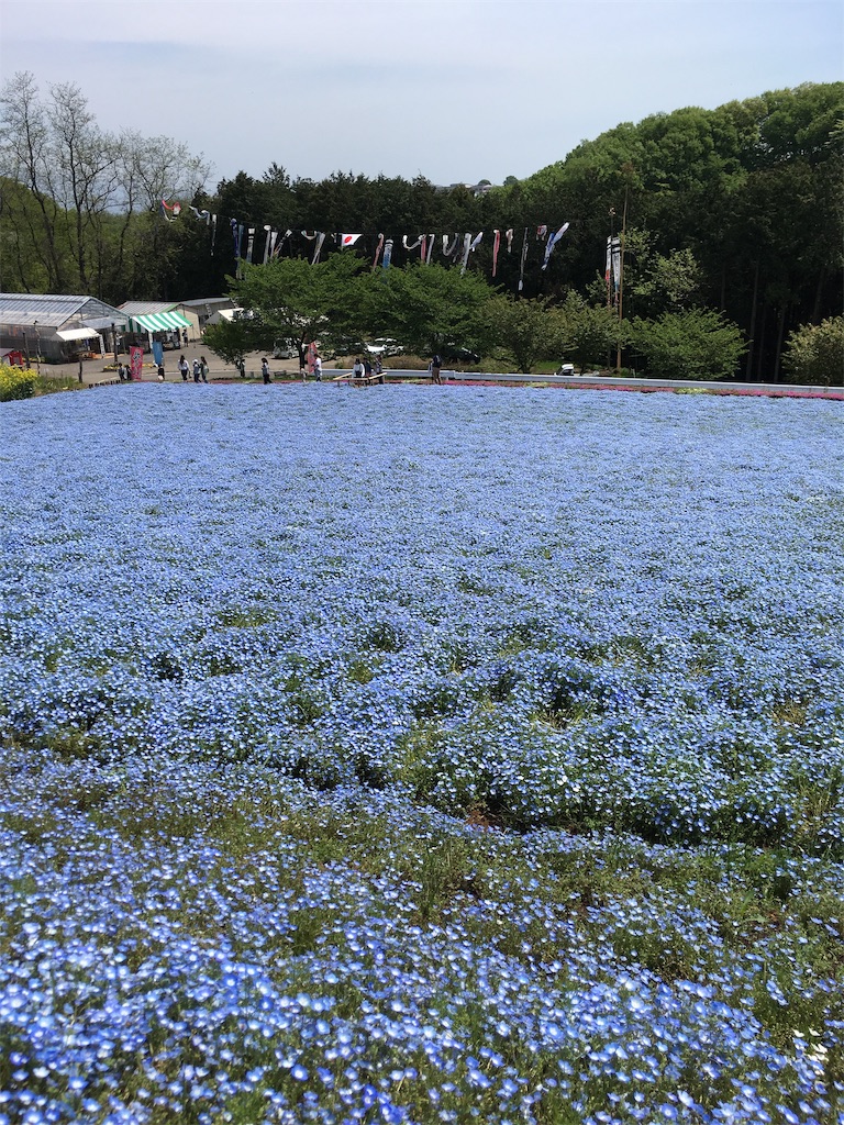 f:id:varadero115:20190618213002j:image