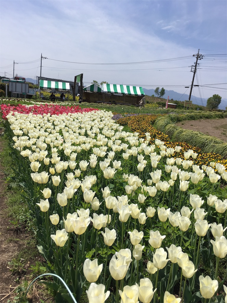 f:id:varadero115:20190618213006j:image