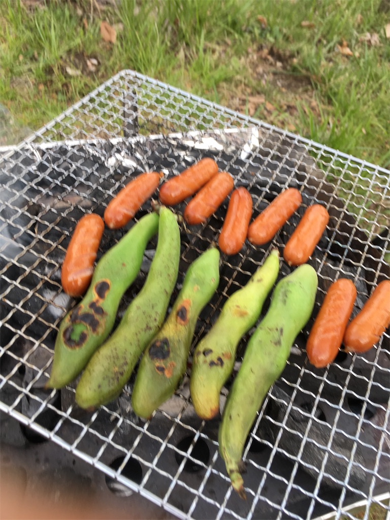 f:id:varadero115:20190618213207j:image