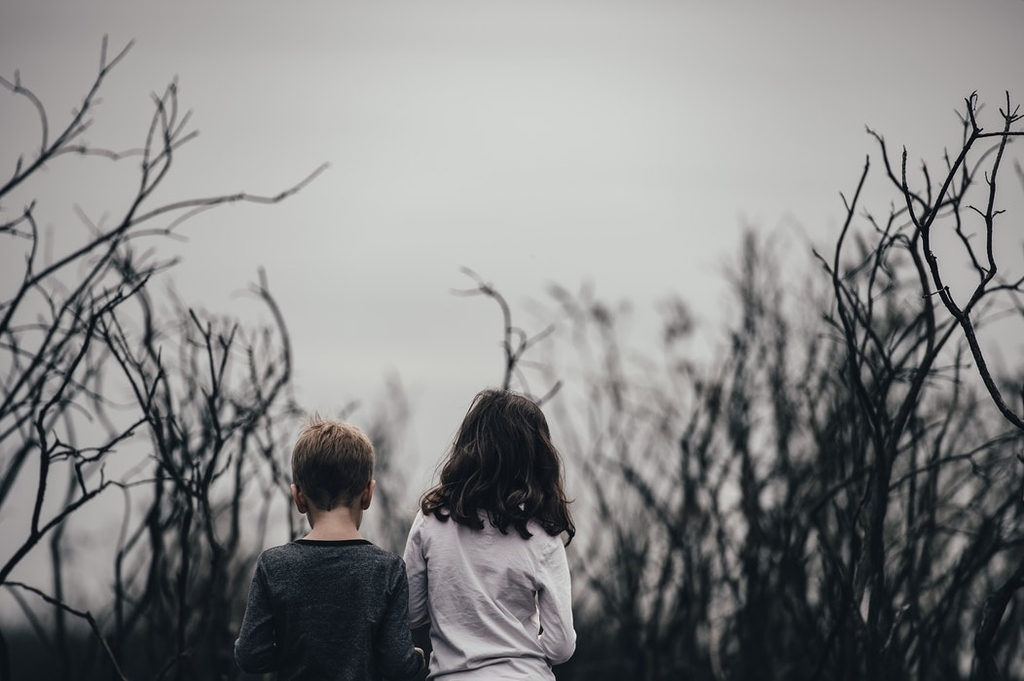 f:id:variouspeople:20190105152912j:plain f:id:variouspeople:20190105152912j:plain