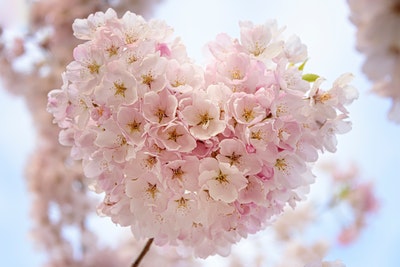 f:id:variouspeople:20190407085953j:plain f:id:variouspeople:20190407085953j:plain
