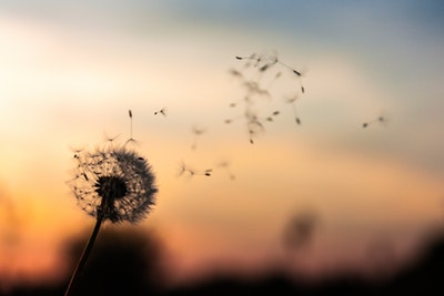 f:id:variouspeople:20190514155356j:plain