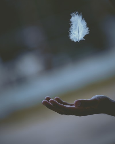 f:id:variouspeople:20190612175856j:plain