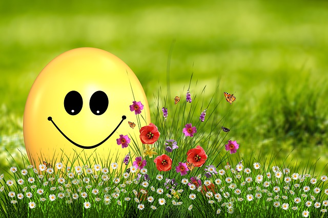 f:id:variouspeople:20190618204636j:plain f:id:variouspeople:20190618204636j:plain