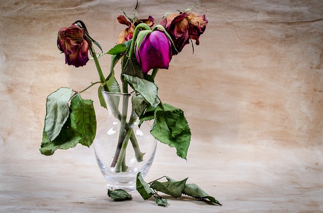f:id:variouspeople:20190913143539j:plain f:id:variouspeople:20190913143539j:plain
