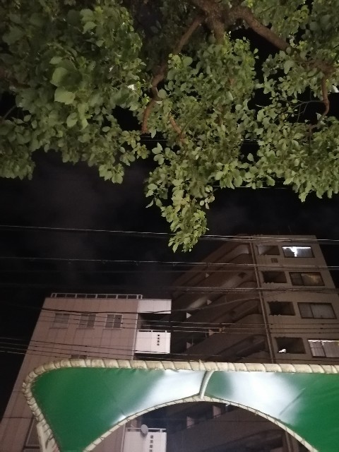 f:id:varjoja:20230924185655j:image