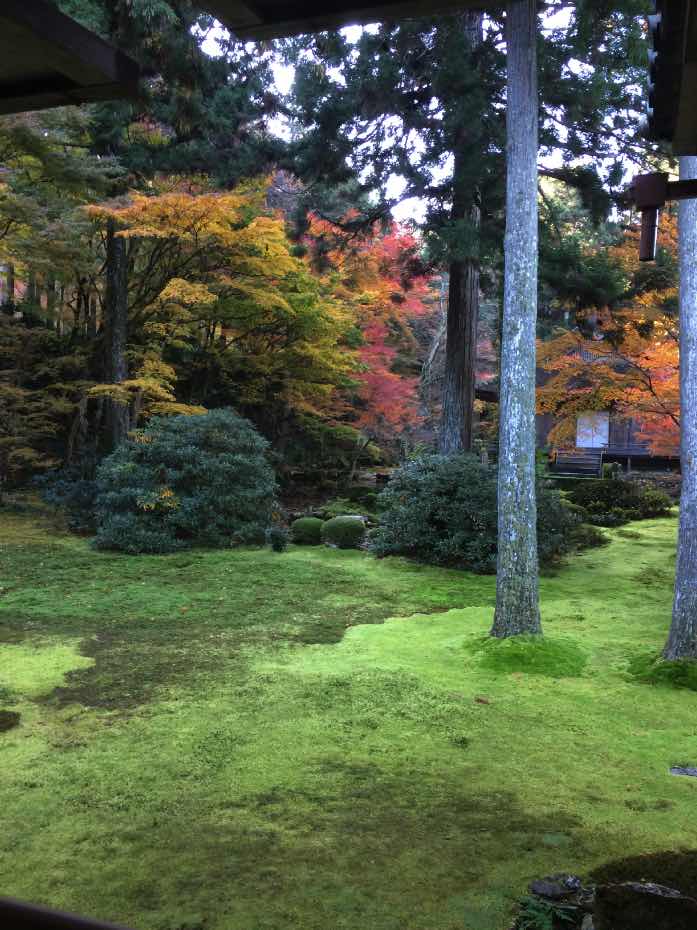 f:id:vasilyjp:20161122180444j:plain:w500