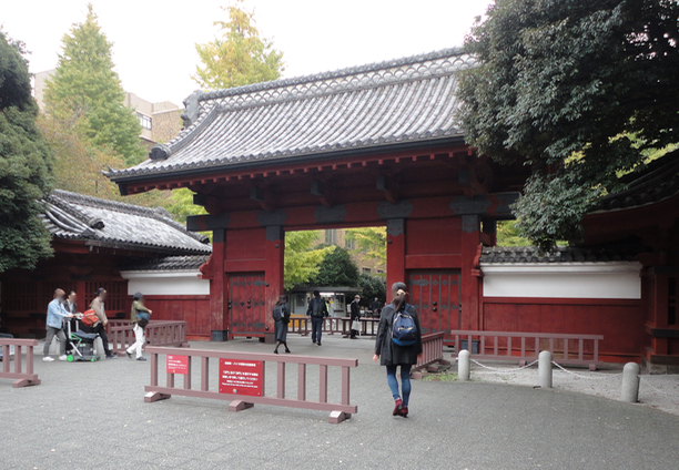 f:id:vasilyjp:20171116225253j:plain f:id:vasilyjp:20171116225253j:plain