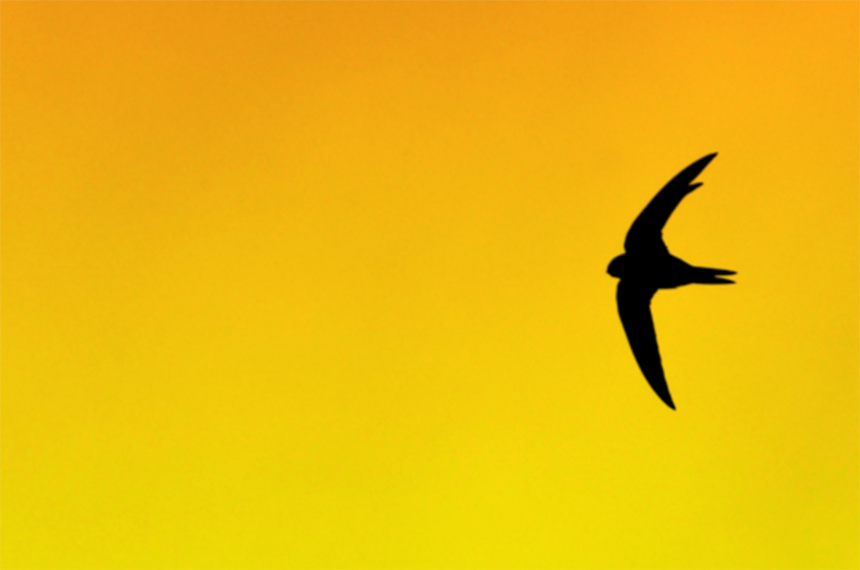 f:id:vasilyjp:20180927130203p:plain