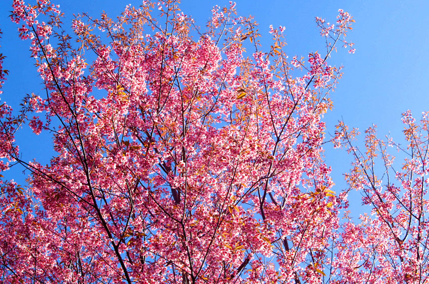 f:id:vasilyjp:20180928130138j:plain