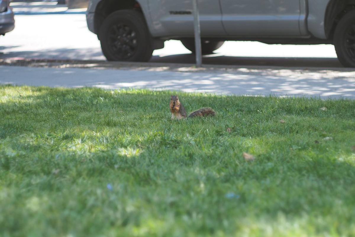 f:id:vasilyjp:20190607172021p:plain