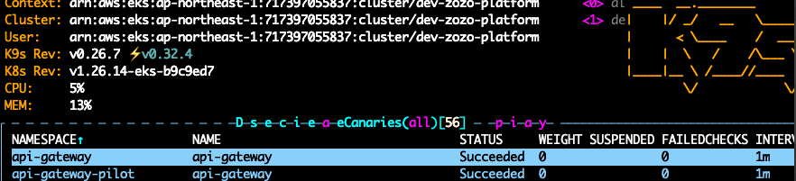 正常系の手順3におけるCanaryリソースの様子（Succeeded）