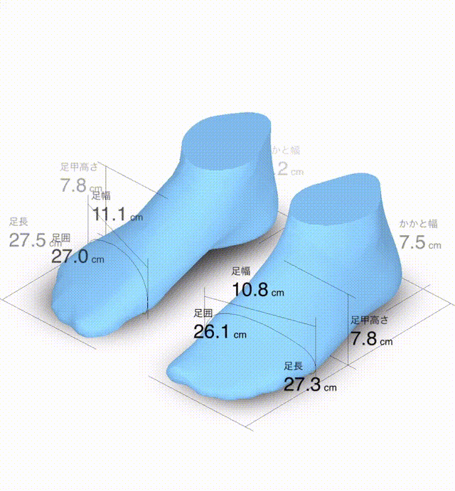 zozomat-renderer-view