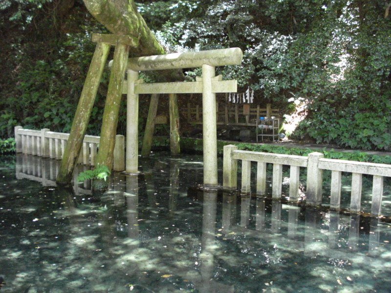 f:id:vassal_hiro:20100604120408j:image