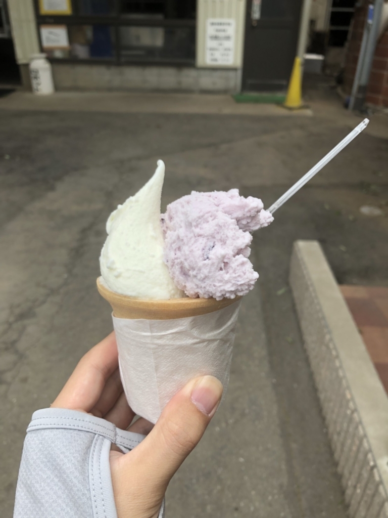 f:id:vavuzain:20180408172926j:plain f:id:vavuzain:20180408172926j:plain