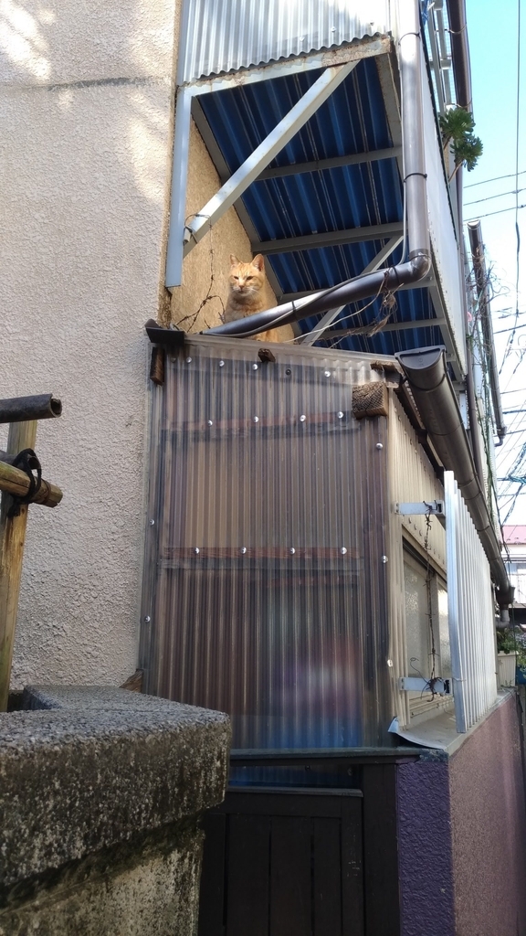 f:id:vavuzain:20190309205217j:plain f:id:vavuzain:20190309205217j:plain