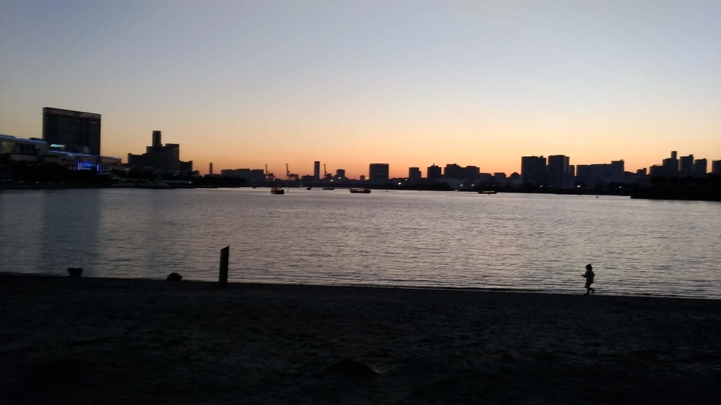 f:id:vavuzain:20190309212633j:plain f:id:vavuzain:20190309212633j:plain