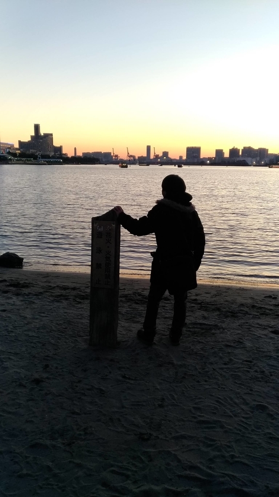 f:id:vavuzain:20190309212838j:plain f:id:vavuzain:20190309212838j:plain