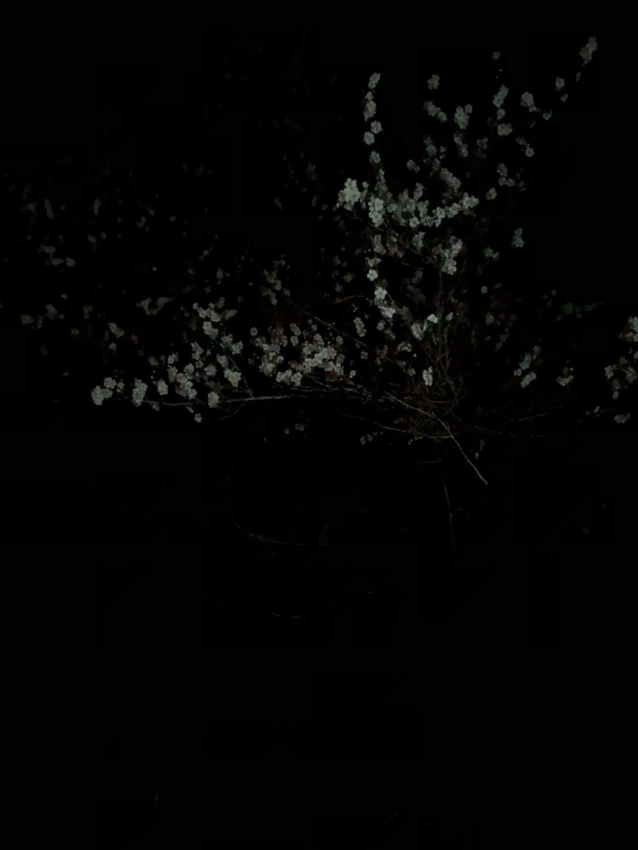 f:id:vavuzain:20191029222137j:plain f:id:vavuzain:20191029222137j:plain