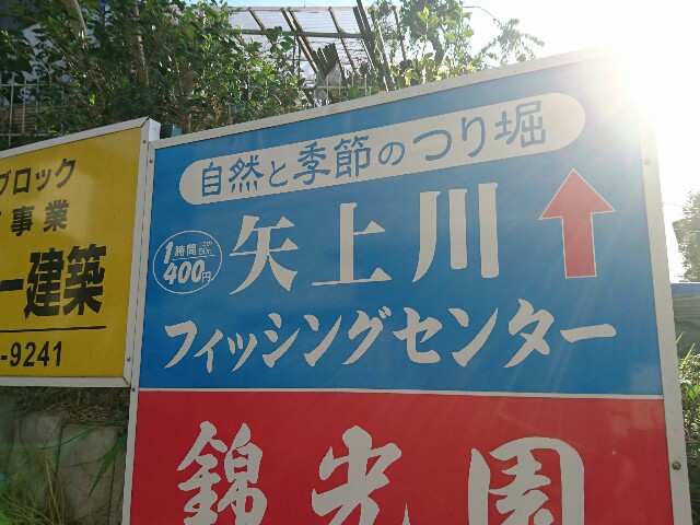 f:id:vayataka:20160626190206j:image f:id:vayataka:20160626190206j:image