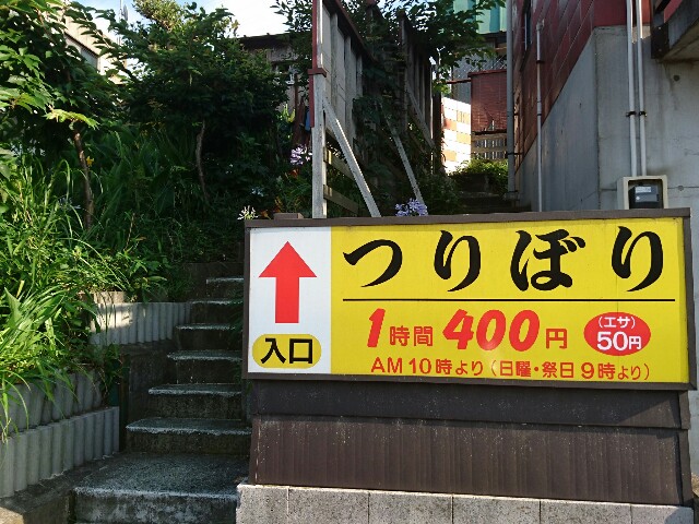 f:id:vayataka:20160627184740j:image f:id:vayataka:20160627184740j:image