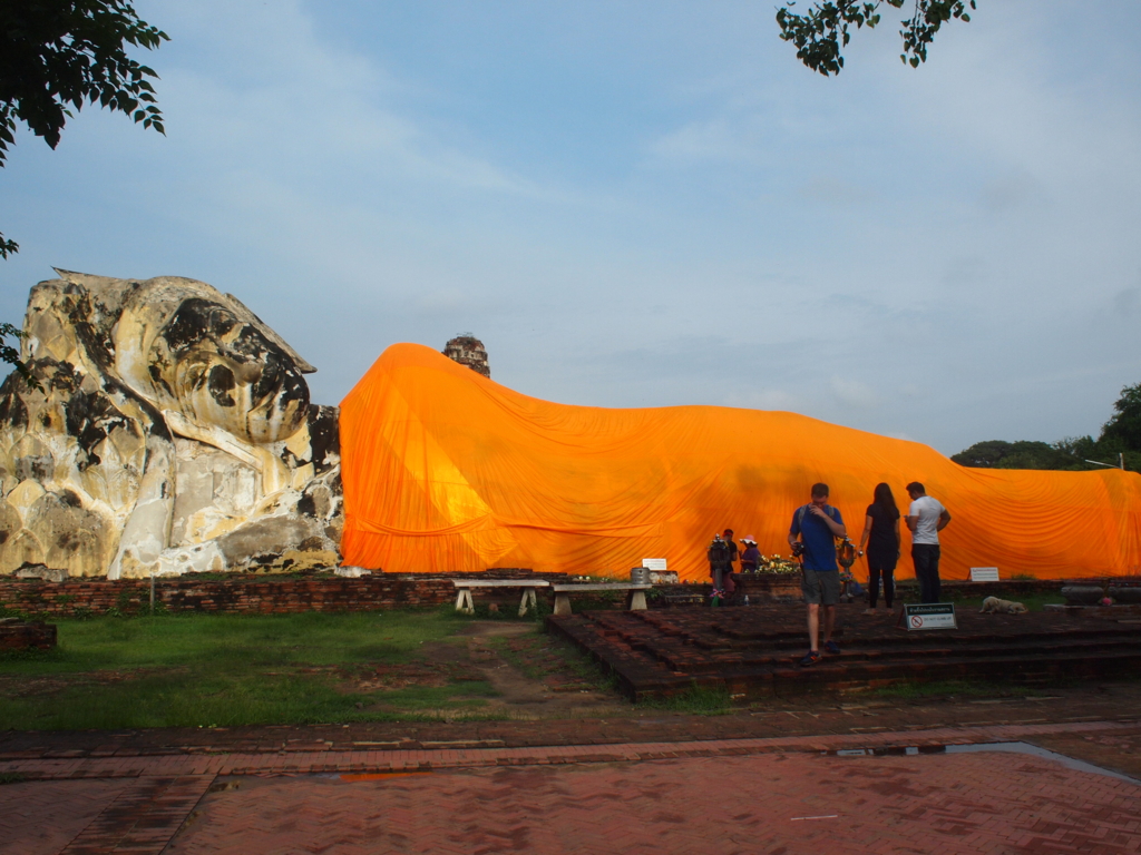タイ旅行で見かけた野良猫と野良犬たち アユタヤ遺跡とバンコク市内にて あかやまの備忘録