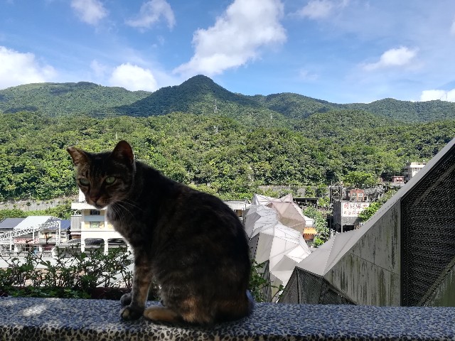 f:id:vayataka:20181015232224j:plain