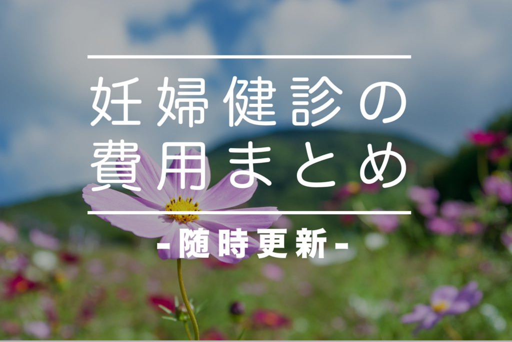 出産までの妊婦健診費用まとめ 川崎市 里帰り先の新潟市の合計 いこログ