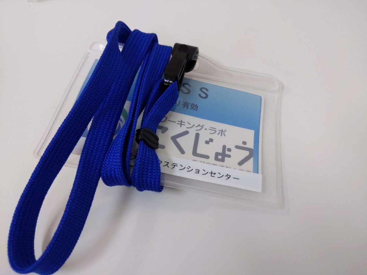 f:id:vayataka:20190708171252j:plain f:id:vayataka:20190708171252j:plain