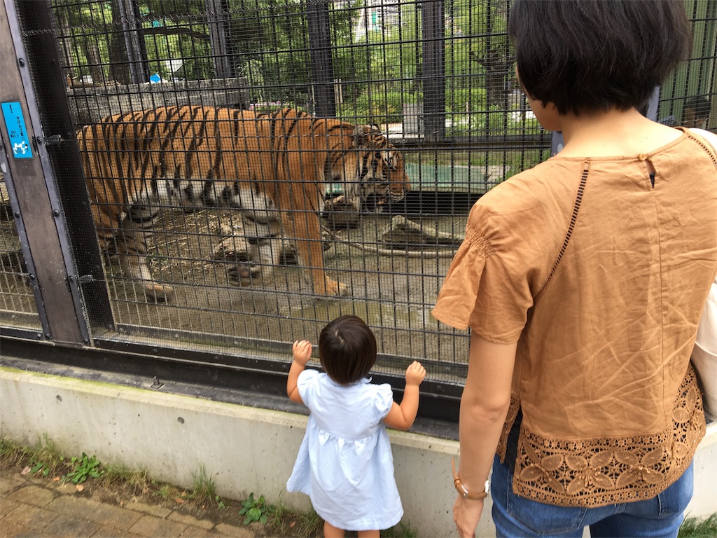 f:id:vcken:20190706202748j:image