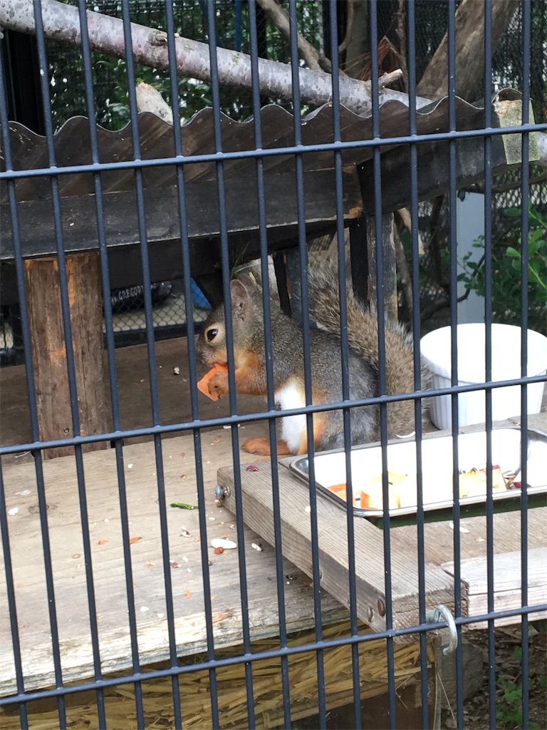 f:id:vcken:20190706222705j:image