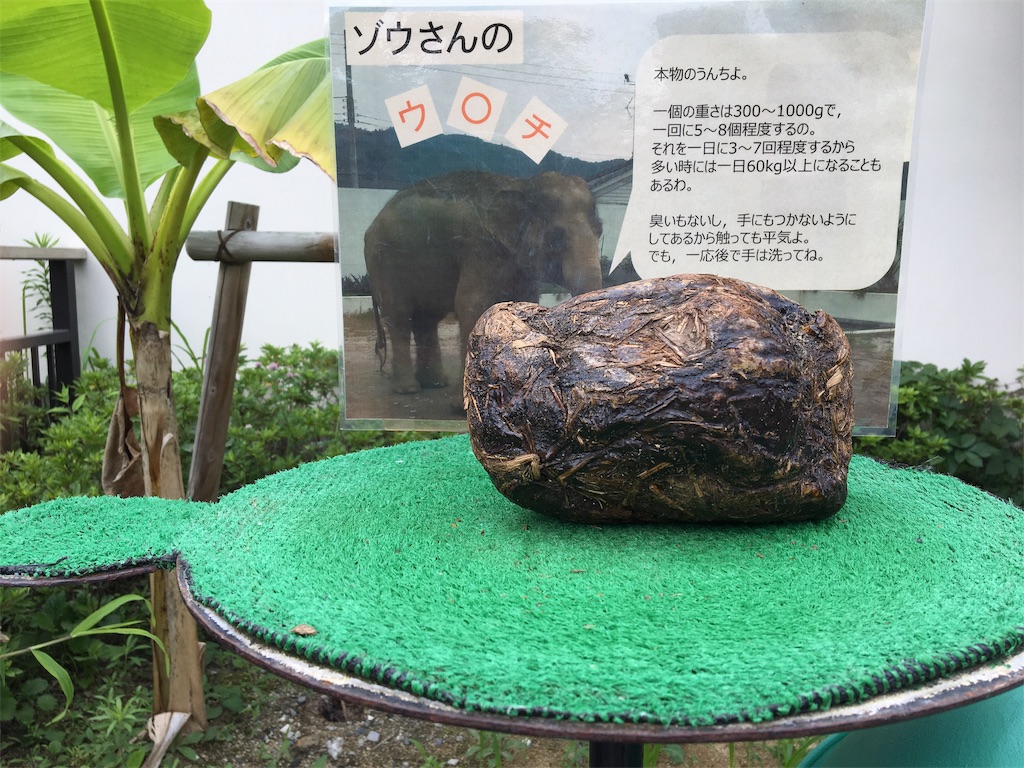 f:id:vcken:20190706223046j:image