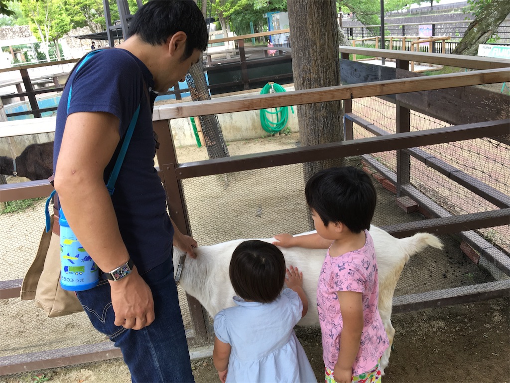 f:id:vcken:20190706223352j:image