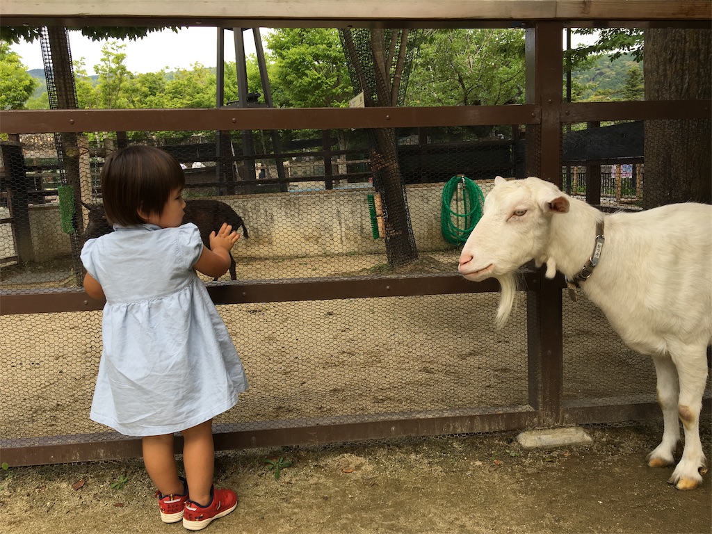 f:id:vcken:20190706223501j:image