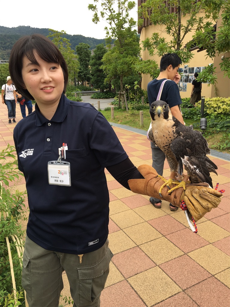 f:id:vcken:20190706224559j:image