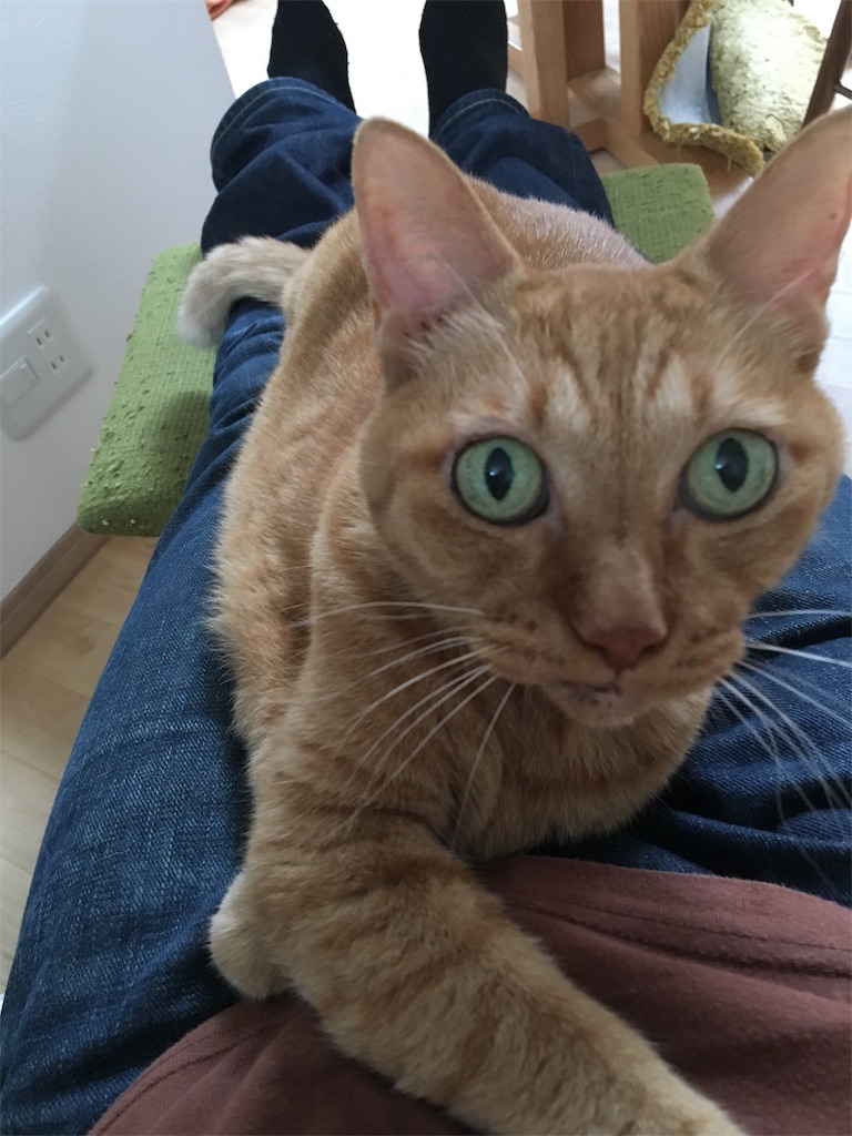 f:id:vcken:20190901161711j:image f:id:vcken:20190901161711j:image